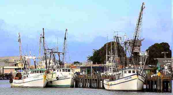 Fisheries supply chain tiers and products analysis Fisheries supply chain tiers and products analysis