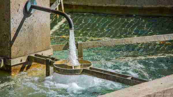 Water supply and resources, fresh drinking water shortage, public health, water cycle Water supply and resources, fresh drinking water shortage, public health, water cycle