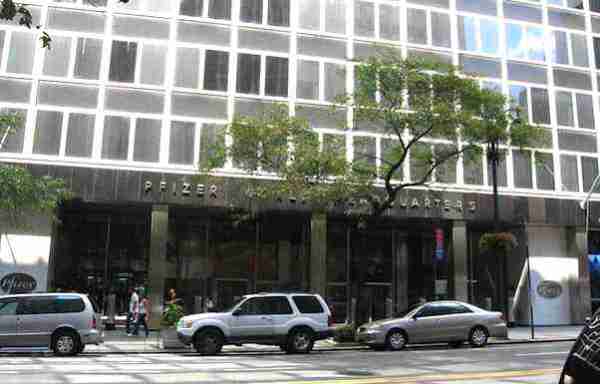 Pfizer Address Pfizer’s Products, Organization, Markets, Strengths & Risks - Panmore