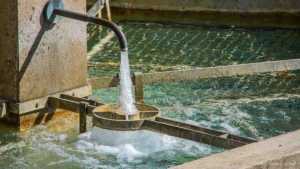 Water Supply, Shortage, Human Impact & Public Health