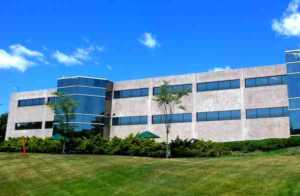 Unilever’s Organizational Culture & Cultural Traits