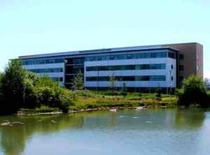 Procter & Gamble (P&G) Five Forces Analysis & Recommendations