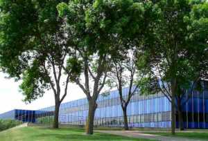 IBM’s Organizational Structure & Its Characteristics: An Analysis
