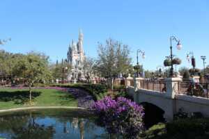 Walt Disney Operations Management, 10 Critical Decisions, Productivity