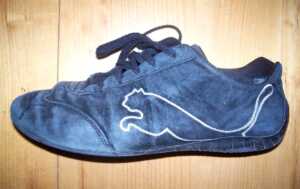 Puma’s Sustainability: CSR/ESG & Stakeholders