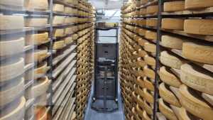 Business Impacts of Low Inventory