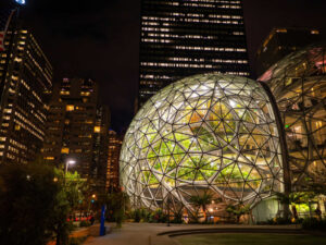 Amazon’s Organizational Structure: An Analysis of Structural Characteristics