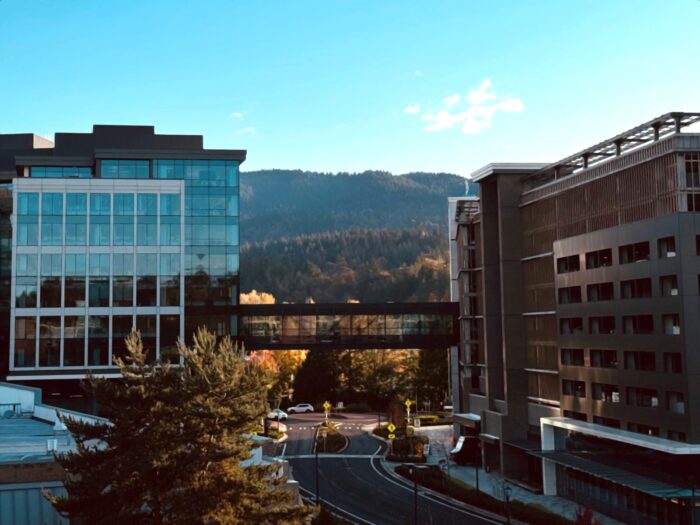 Costco vision statement and mission statement, business purpose, retail company strategy goals analysis case study, Issaquah