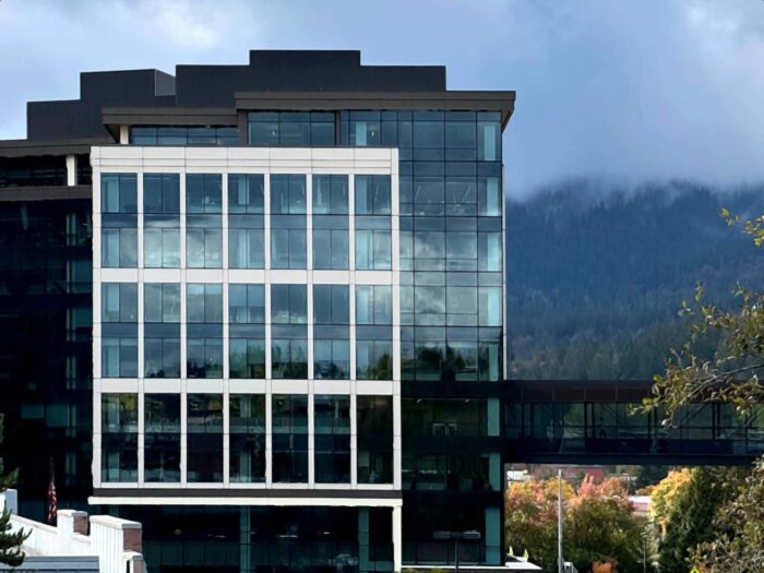 Costco company structure, retail organizational structure, business divisions, corporate hierarchy departments, leadership, case study analysis, headquarters